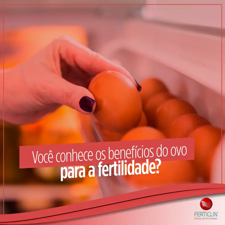 Conheça os benefícios do Ovo para a fertilidade