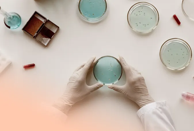 Fertilização In Vitro por ICSI