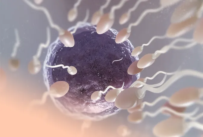 Inseminação Artificial (AI)