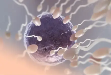 Inseminação Artificial (AI)